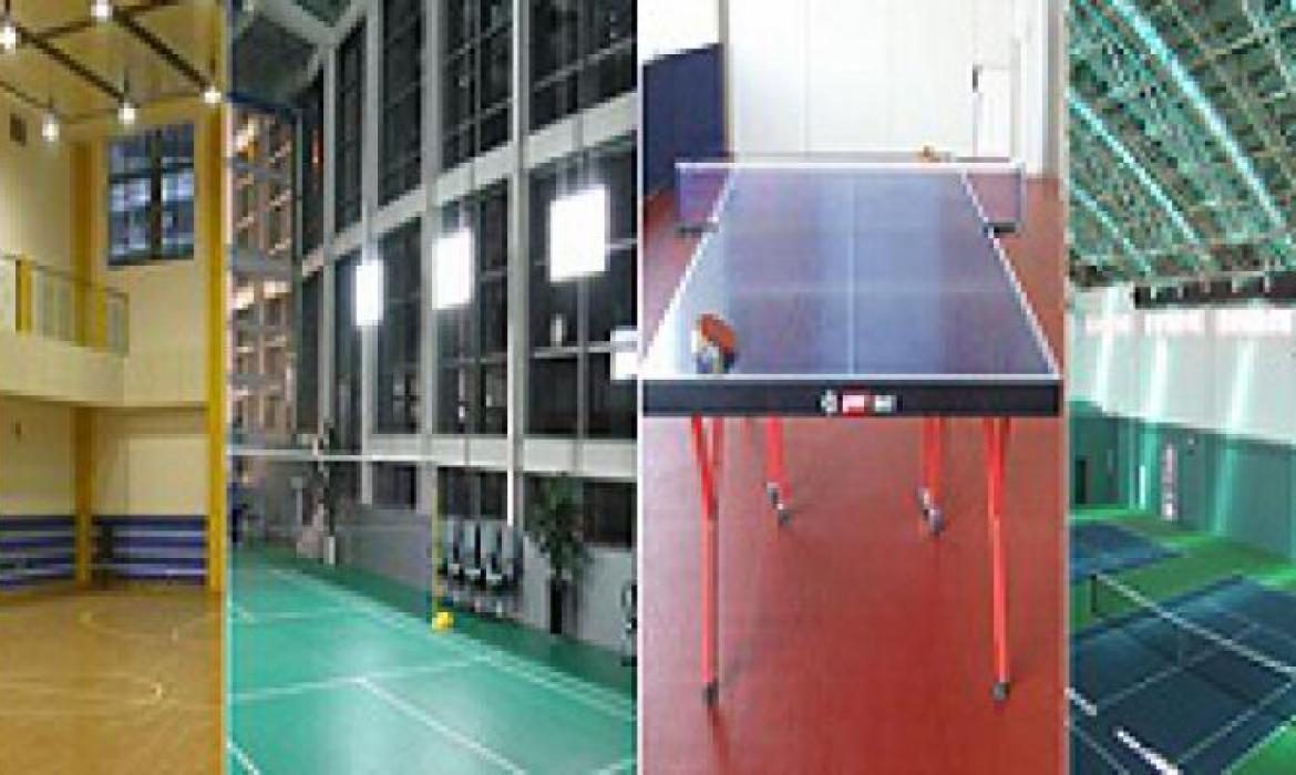 Sports PVC Floor Coverings